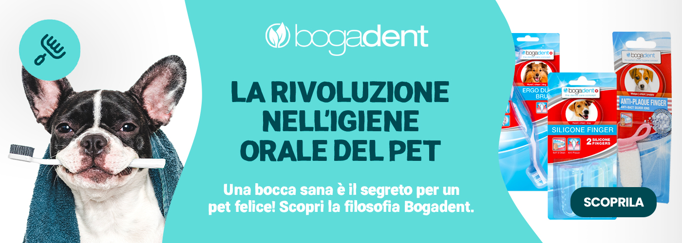 BOGADENT